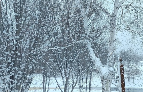 Republic House | My Mother's House - A quiet home on the Michigamme River