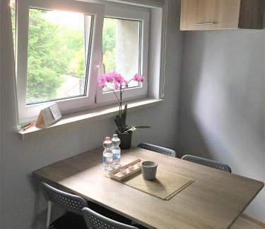 Tarnowskie Gory Apartment | "Na wesołej"