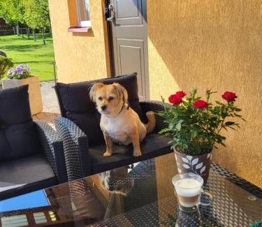 Druskininkai Apartment | Namelis Rugilė