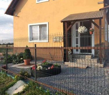 Joseni House | Narcise kulcsoshaz