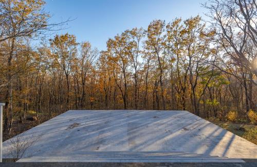 Nasu House | NASU PRIVATE FOREST: 広大な森の中のモダンハウス