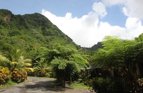 Saint George Parish Villa | Natty Tropical Valley