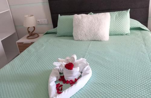 Ameijeira House | Nature Guesthouse