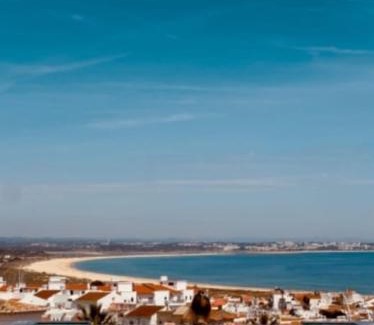 Ameijeira House | Nature Guesthouse