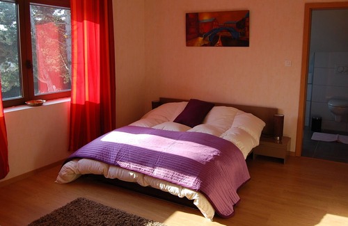 Illfurth Cottage | Near Canal 8 people, ideal for visiting the Alsace + 8 bikes, table tennis