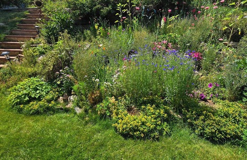 Kittredge Apartment | Near Red Rocks, Hiking & Skiing: Kittredge Condo!