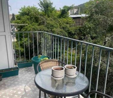 Vera Apartment | nearby chavchavadze ave sunny home with balcony