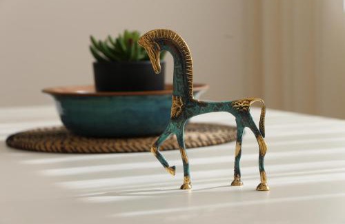 Midreshet Ben-Gurion Apartment | negevibe