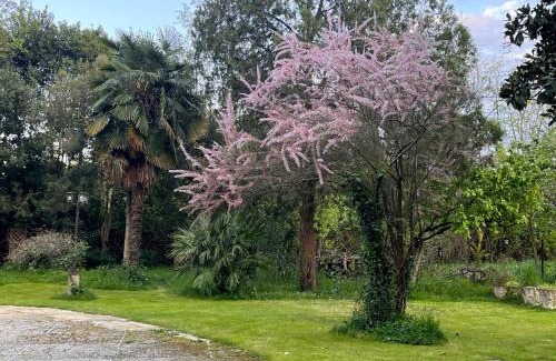 San Giorgio a Liri Apartment | Nel giardino segreto