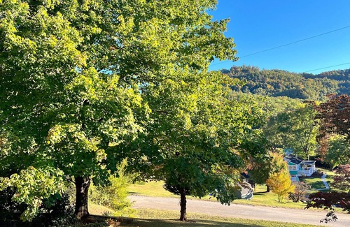 Sylva Cottage | Nest in Sylva and the Great Smoky Mountains