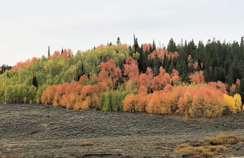 Afton RV Rental | Nestle your RV on this piece of heaven!