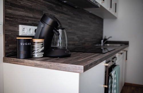 Wilsdruffer Vorstadt/Seevorstadt-West Condo | Neue Wohnung im Zentrum