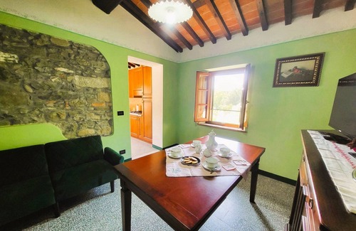 Mologno Villa | New! Charming Restored Mill, Private Pool, olive grove, walk facilities, river.