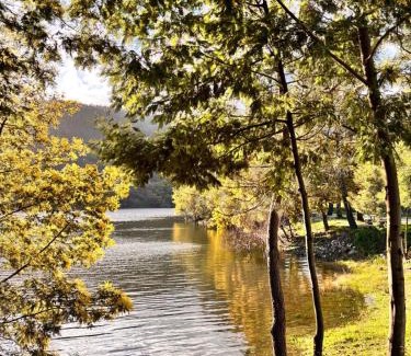 Serta Apartment | New Flat with View over the River Zezere