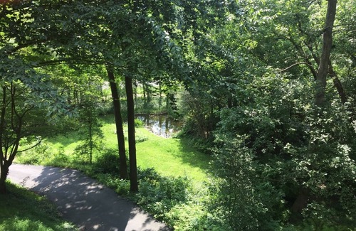 Brookmont Apartment | NEW light filled 1500 sq ft apt, lg kitchen, expansive family rm, 2 bedrm,1 bath