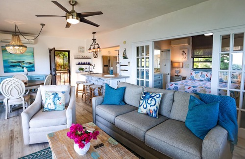 Frydendal Condo | New listing! Amazing Views & Lovely Breezes! Remodeled 1BR/1BA Private Balcony!