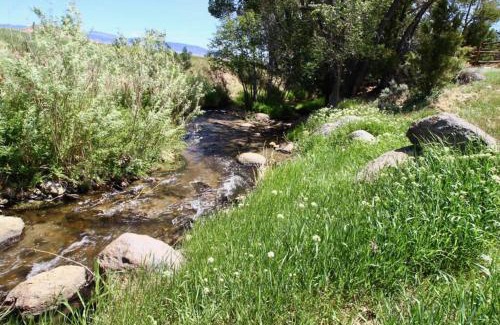 Whitehall House | New! Lower Level Ranch Home - 10 mins to Town