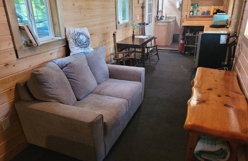 Greenville Apartment | New! Robin's Nest - Cute Lakefront Tiny House! Includes lake access!