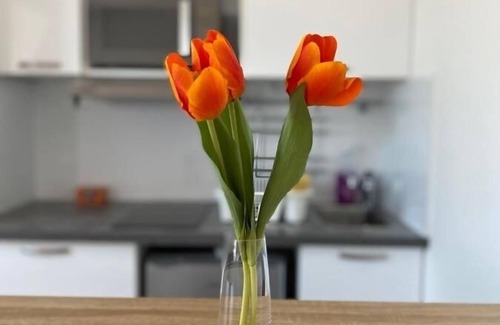 Adamville Apartment | New studio 2 person , Paris , next to Disney and transports