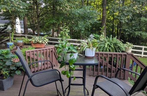 Midlothian House | Newly finished basement suite in Midlothian. Very clean and spacious.