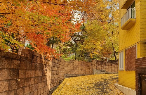 Mapo House | Newly Renovated 100-Year-Old House@MAPO-SEOUL ☆ 4Subway Lines