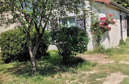 Paray-le-Fresil House | Newly renovated detached house