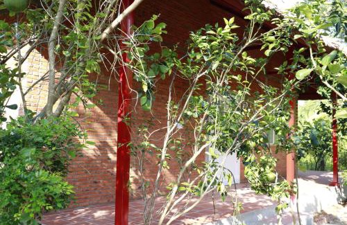 Ben Tre House | Nguyet Que Homestay & Tours