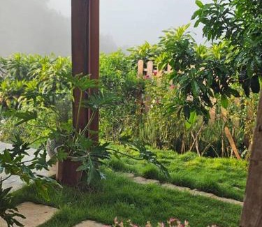 Bao Lam Apartment | Nhà Gach Cổ-Antique Brick House