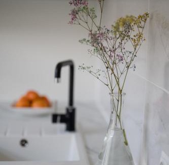 Siauliai City Center Apartment | Nica Apartment