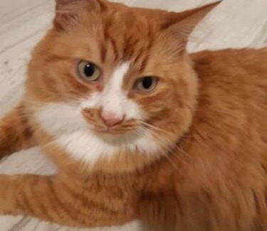 Vilnius city municipality House | Nice private room in a three room apartment Free parking Feel like at home