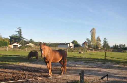 Poncins Resort | Nid Douillet