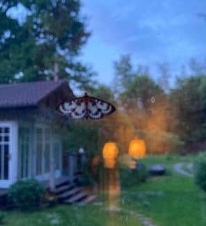 Kazimierz Dolny House | Niebieski Koń