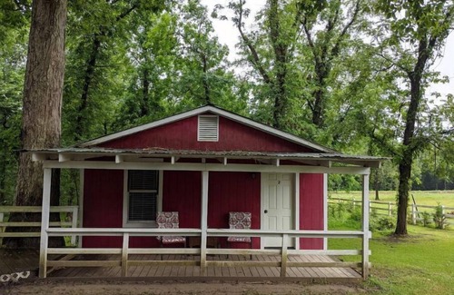 Goodrich Cabin | Nile Cabin on Bello Rio Resort #22