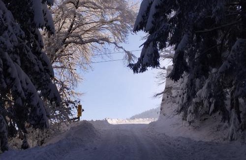 Mutters House | Nockhof