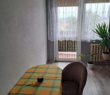 Zywiec Apartment | Noclegi Mieszkanie Kuchnia Żywiec