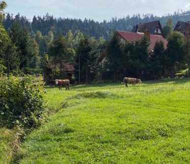 Korbielow House | Noclegi "Na Szczyrboku" Dom I
