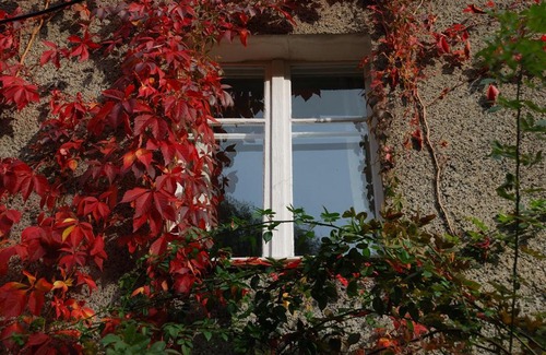 Radkow House | Noclegi nad Pośną