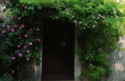 Radkow House | Noclegi nad Pośną