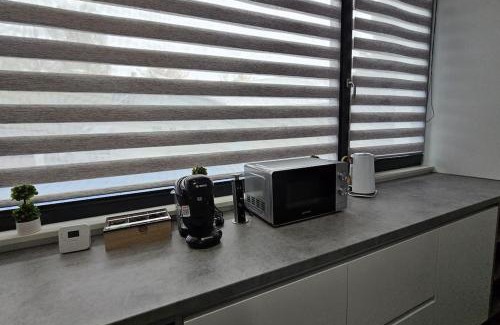 Suceava Apartment | Nordic Residence 12