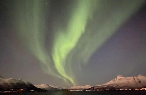 Balsfjord Apartment | Northern Light Cottage