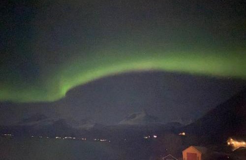 Balsfjord Apartment | Northern Light Cottage