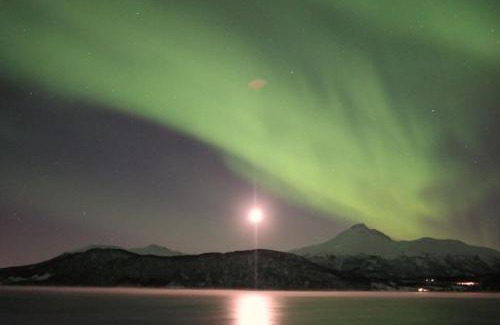 Balsfjord Apartment | Northern Light Cottage