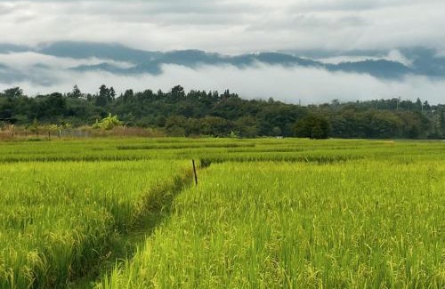 Pai House | Northland Pai