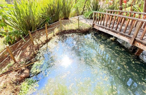 Mazamitla Ski Chalet | Nostra Natura - Chalet Manantial