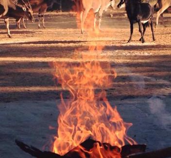 Copperbelt Cabin | Nsobe Game Camp