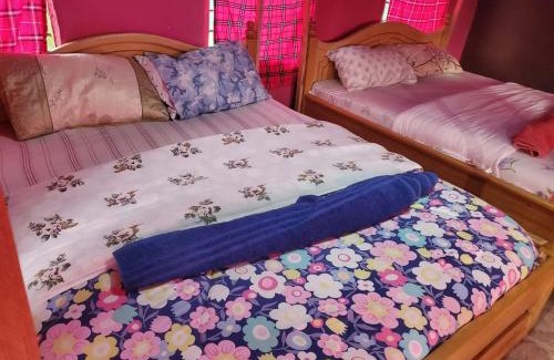 Maasai Mara Bed & Breakfast | Nyangulo maasai mara safari camp