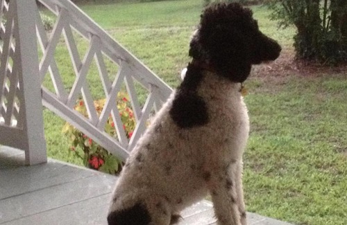 Alton Bed & Breakfast | Oak Grove Bed and Breakfast