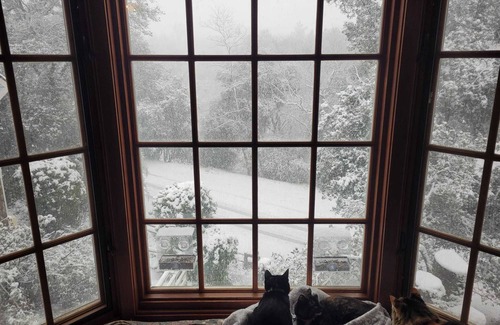 Julian Apartment | Oak Hill Inn, cozy boutique hotel only a 5min stroll to the heart of Julian!