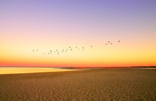 Sagamore Beach House | Oak Ridge Retreat