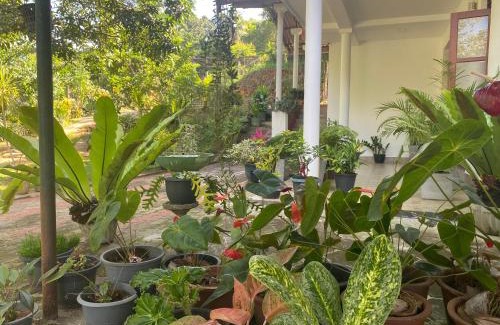 Udunuwara Villa | Oasis Suite